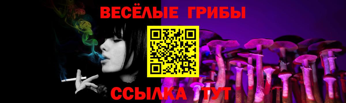 Холмск  Псилоцибиновые грибы Magic Shrooms  Вход с VPN 